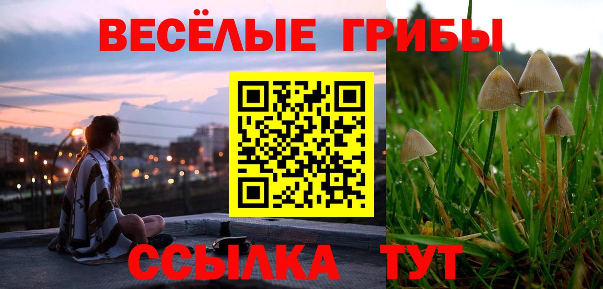 Среднеуральск  Псилоцибиновые грибы Cubensis  Галлюциногенные грибы Psilocybine cubensis  Вход с VPN 
